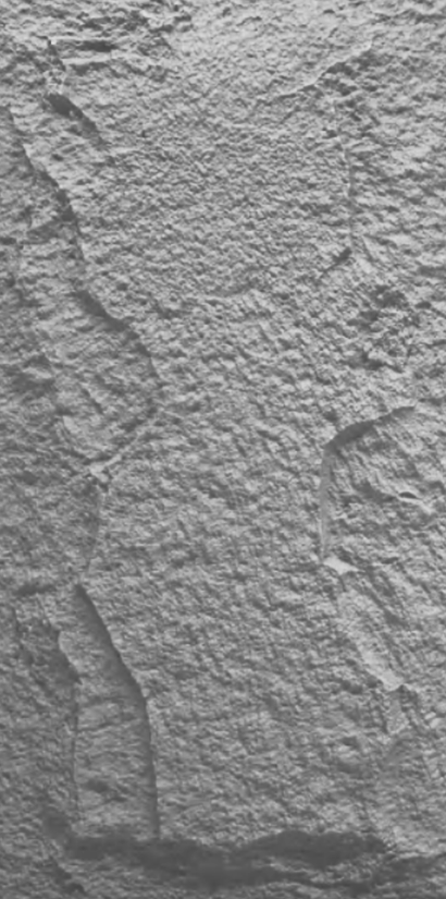 Panel Roca PU Piedra Hongo